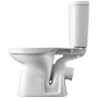 Santek. Унитаз-компакт "Анимо", 1WH302134, косой выпуск, двухрежимная арматура, сиденье дюропласт Santek. Унитаз-компакт "Анимо", 1WH302134, косой выпуск, двухрежимная арматура, сиденье дюропласт
