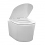 Унитаз подвесной Comforty CF40513R тонкое сиденье дюропласт с микролифтом, белый глянец