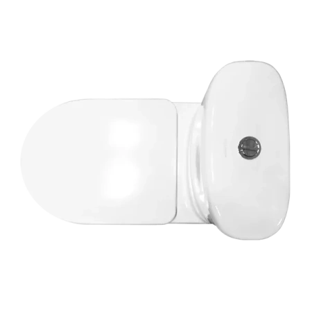 Sanita Luxe. Унитаз-компакт Art SL DМ SL900203 сиденье дюропласт с микролифтом
