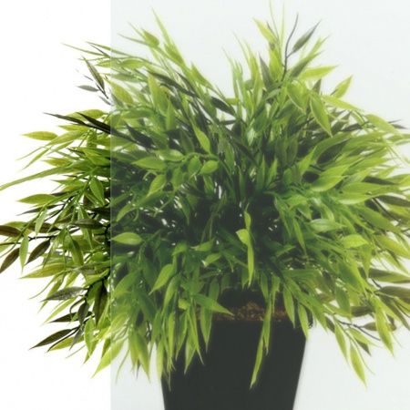 Угловая душевая кабина Тритон Экстра 88*88 А, низкий поддон, сифон D50 клик-клак