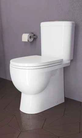 Sanita Luxe. Унитаз-компакт Art SL DМ SL900203 сиденье дюропласт с микролифтом