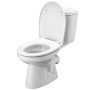 Santek. Унитаз-компакт "Анимо", 1WH302137, косой выпуск, двухрежимная арматура, сиденье дюропласт softclose